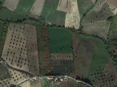 Terreno Agricolo in vendita