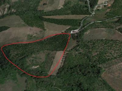 Terreno Agricolo in vendita