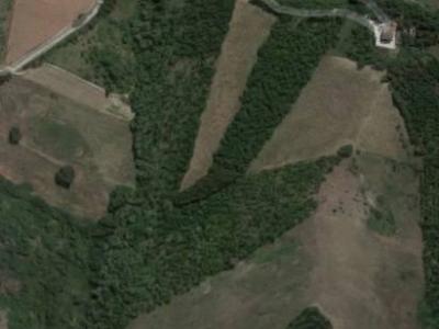 Terreno Agricolo in vendita