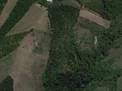 Terreno Agricolo in vendita