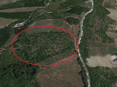 Terreno Agricolo in vendita
