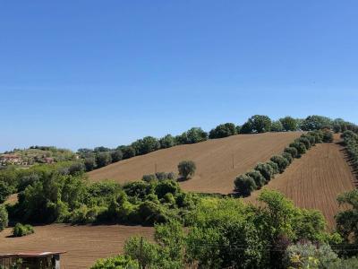 Terreno Agricolo in vendita