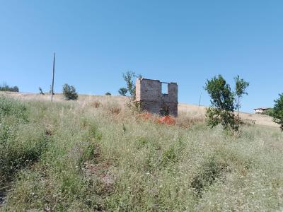 Terreno Agricolo in vendita